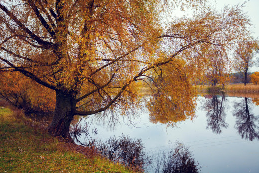 1354549 (a): :2560x1706